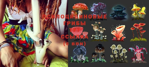 гашик Арсеньев