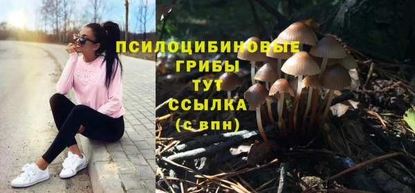 молекула духа Аркадак