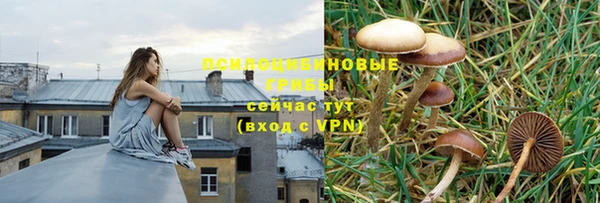 молекула духа Аркадак