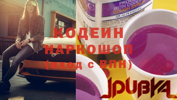 гашик Арсеньев
