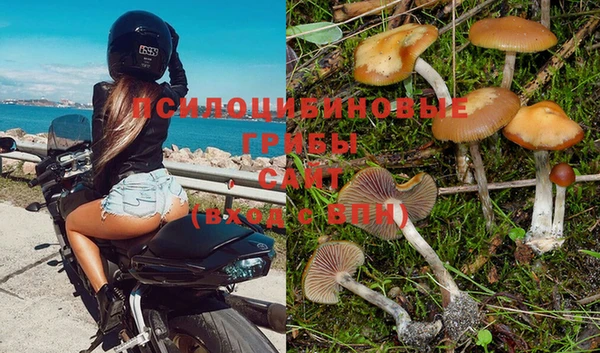 молекула духа Аркадак